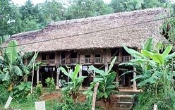 Дом на сваях народности Таи в провинции Хазянг - ảnh 1